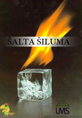 Šalta Šiluma (2011)