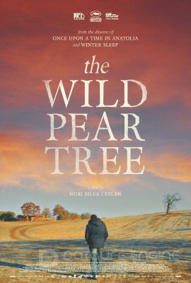 Wild Pear Tree (2018)