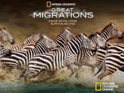 Didžiosios migracijos