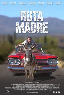 Kelias pas mamą (2019)