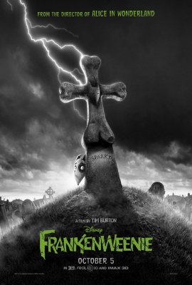 Frankenvynis