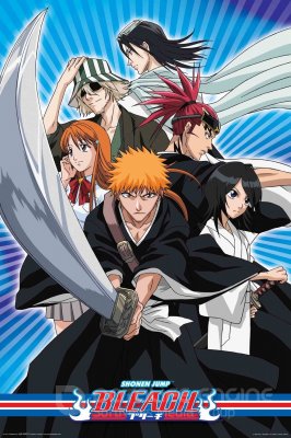 Bleach Series (2004-2012)