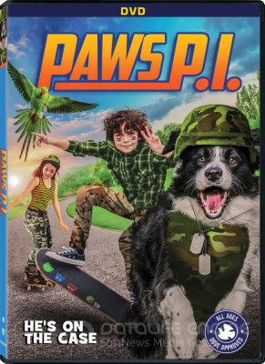 Letenos P.I (2018)