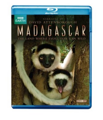 Madagaskaras
