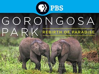 Gorongosa Parkas. Rojaus atgimimas (2015)