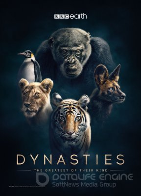 Gyvūnų dinastijos (1 Sezonas)