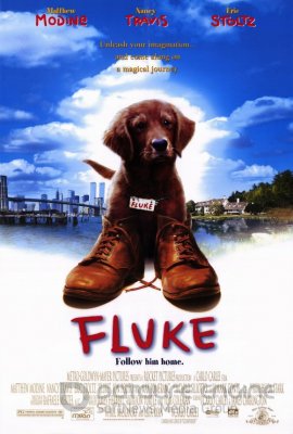 FLUKAS