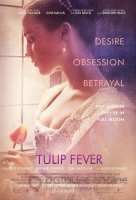 TULPIŲ KARŠTINĖ (2017)