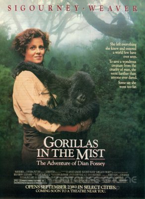 Gorilos rūke (Gorillas in The Mist) @ Biografinė drama, JAV 1988
