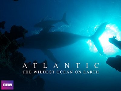 Atlanto vandenynas